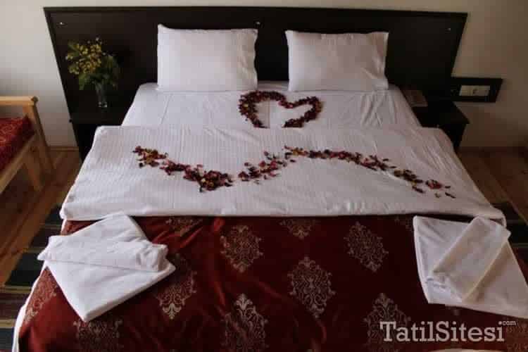 Abant Kartal Yuvası